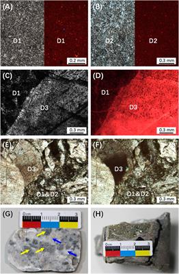 Geochemical Constraints on the Hydrothermal Dolomitization of the Middle-Upper Cambrian Xixiangchi Formation in the Sichuan Basin, China